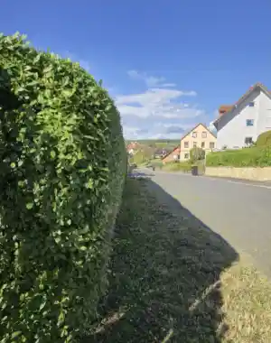gartner_wertheim_Grün_und_Sauber_Gartenpflege__4.jpg