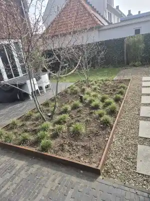 hovenier_bakel_Van_Rooij_Tuinprojecten_7.jpg