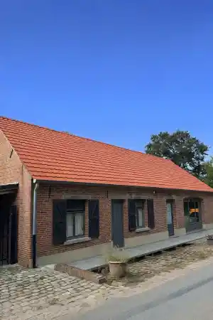 Dakreiniging.jpg