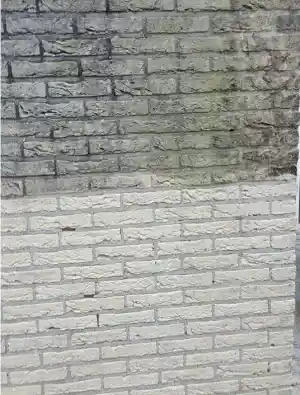 gevelrenovatie_zuienkerke-houtave_Outshine_3.jpg