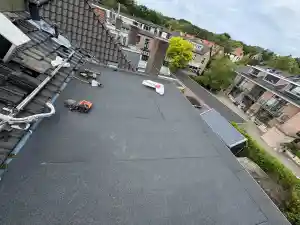 dakgoot_den-bosch_Brekelmans_dakdekkers__6.jpg