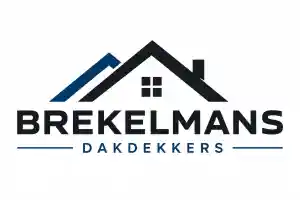 dakgoot_den-bosch_Brekelmans_dakdekkers__2.jpg