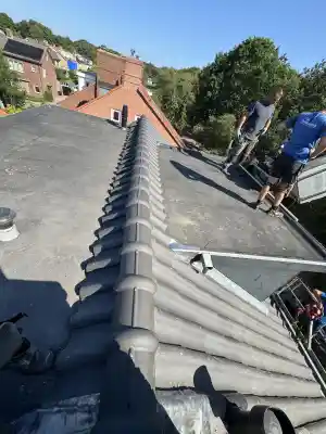 dakgoot_den-bosch_Brekelmans_dakdekkers__7.jpg