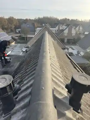 dakgoot_den-bosch_Brekelmans_dakdekkers__5.jpg