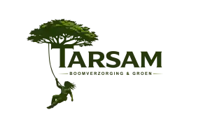 boomverzorging_gouda_Tarsam_Boomverzorging_4.jpg
