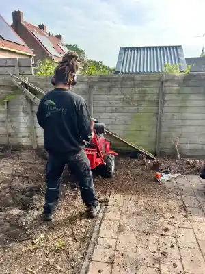 boomverzorging_gouda_Tarsam_Boomverzorging_2.jpg