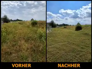 hausmeisterservice_leipzig_Noventos_Service_5.jpg