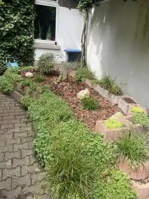 hausmeisterservice_d%C3%BCsseldorf_Perfecto_Reinigungs_&_Gartenservice_4.jpg