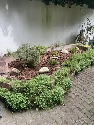 hausmeisterservice_d%C3%BCsseldorf_Perfecto_Reinigungs_&_Gartenservice_3.jpg