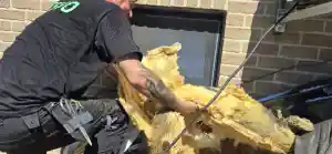 Renovatie huis.jpg