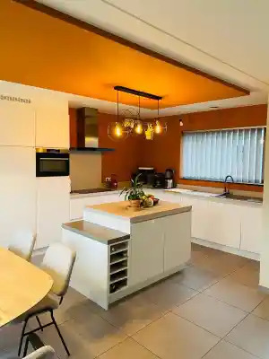 Moderne keuken met accentbehang.jpg