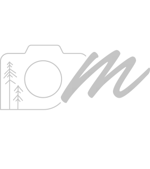 hochzeitsfotograf_nordhorn_Mareike_Fotografie__2.jpg