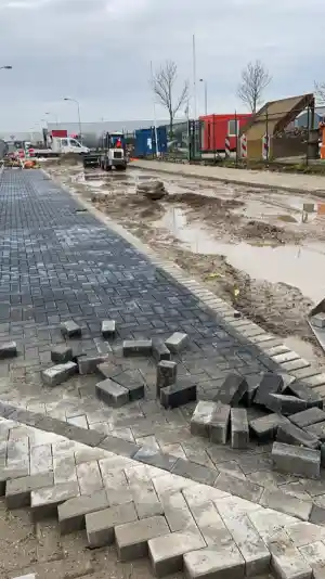 hovenier_alblasserdam_Vogelaar_Infra_groen_grondwerken_3.jpg