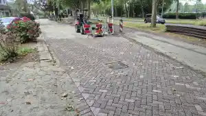 hovenier_alblasserdam_Vogelaar_Infra_groen_grondwerken_6.jpg