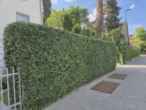 entrumpelung_gr%C3%A4felfing_Hausmeisterdienst_Dilber_4.jpg