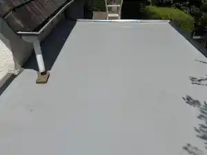 dakgoot_sprang-capelle_F.maasdakbedekking_5.jpg