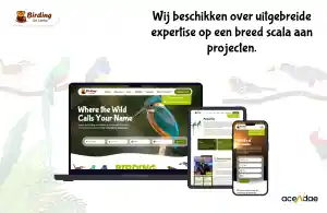 webdesign_goes_Acendae_B.V._2.jpg