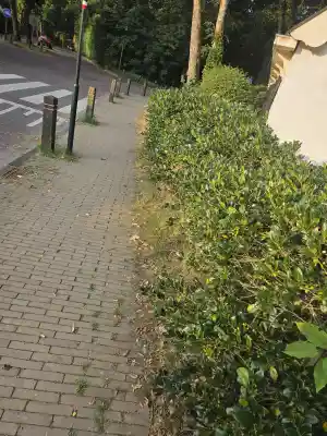 hovenier_maarssen_tt_hovenierswerken_3.jpg