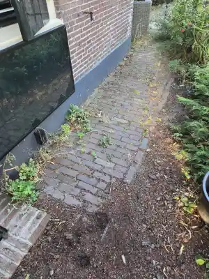 hovenier_maarssen_tt_hovenierswerken_6.jpg