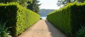 hausmeisterservice_berg_DZ-Dienstleistungen_3.jpg