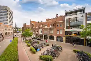 seo-specialist_eindhoven_Brandable_2.jpg
