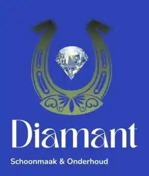 schoonmaakbedrijf_goor_Diamant_Schoonmaak_&_Onderhoud._2.jpg