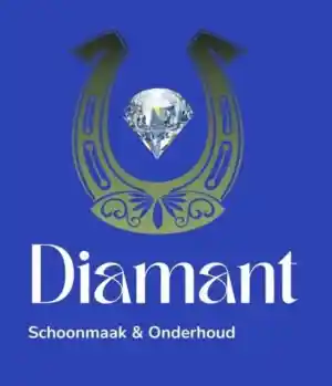 Diamant Schoonmaak & Onderhoud.jpg