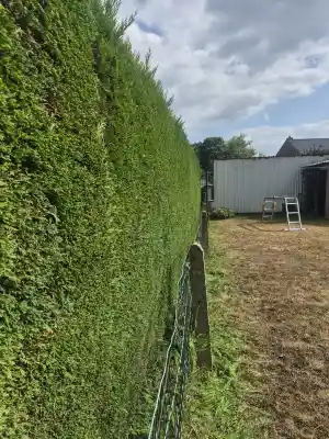 tuinaanleg-en-tuinonderhoud_geetbets-grazen_X&M_Tuinwerken_2.jpg