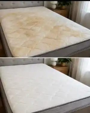 Limpieza de colchones .jpg
