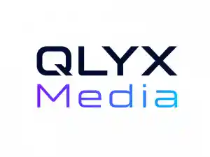 webdesign_gro%C3%9Fziethen_QLYX_Media_2.jpg