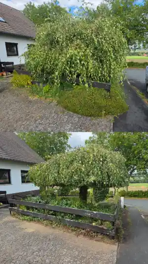 Gartenpflege.jpg
