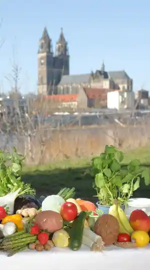 coaching_magdeburg_VIDHA_2.jpg