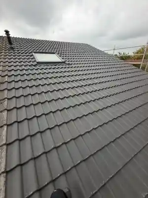 Renovatie Pannendak Inclusief Dakbeschot.jpg