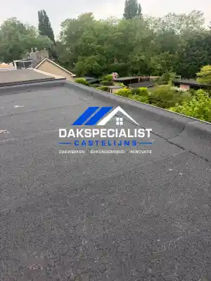 dakdekker_vlijmen_Dakspecialist_Castelijns_4.jpg