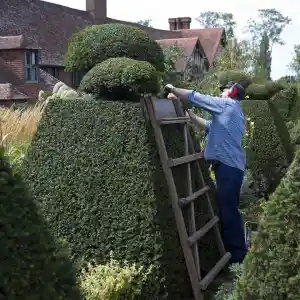 hovenier_nuth_Groenman_4.jpg