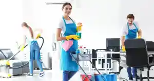 Green Cleaning Choice.jpg
