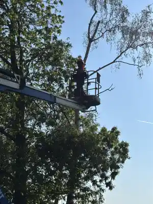 tuinaanleg-en-tuinonderhoud_as_FREX_2.jpg