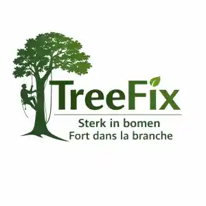 tuinaanleg-en-tuinonderhoud_flobecq_TreeFix_-_Boomverzorging_5.jpg