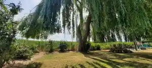 tuinaanleg-en-tuinonderhoud_flobecq_TreeFix_-_Boomverzorging_3.jpg