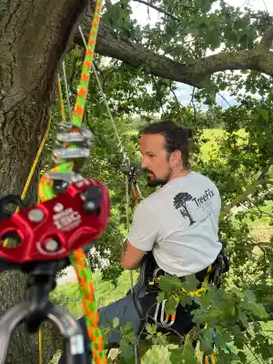 tuinaanleg-en-tuinonderhoud_flobecq_TreeFix_-_Boomverzorging_5.jpg
