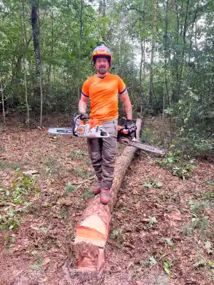 tuinaanleg-en-tuinonderhoud_flobecq_TreeFix_-_Boomverzorging_6.jpg