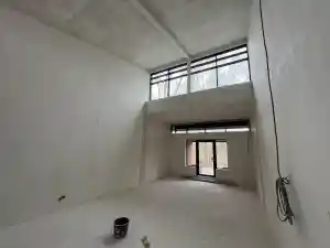 schilder_sappemeer_Paarsrijkstukadoors_6.jpg