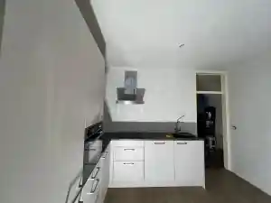 schilder_sappemeer_Paarsrijkstukadoors_4.jpg