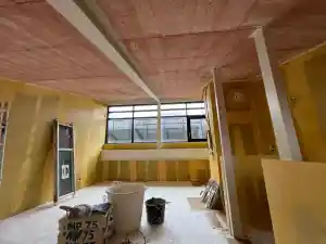 schilder_sappemeer_Paarsrijkstukadoors_7.jpg