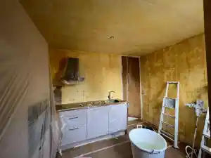 schilder_sappemeer_Paarsrijkstukadoors_3.jpg
