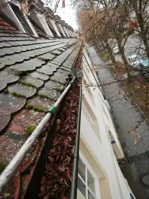 reinigungsfirma_hohenroth_ASTALEX_Dach-_und_Rinnenreinigung_2.jpg