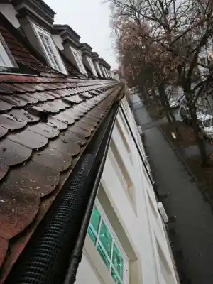 reinigungsfirma_hohenroth_ASTALEX_Dach-_und_Rinnenreinigung_3.jpg