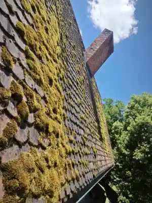 reinigungsfirma_hohenroth_ASTALEX_Dach-_und_Rinnenreinigung_6.jpg