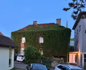 reinigungsfirma_hohenroth_ASTALEX_Dach-_und_Rinnenreinigung_4.jpg