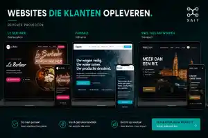 webdesign_willebroek_XAIT_3.jpg